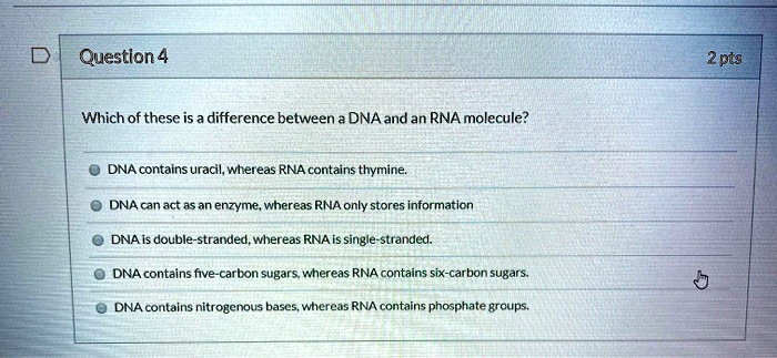 SOLVED: Question 4 2pts Which of these is the difference between a DNA ...