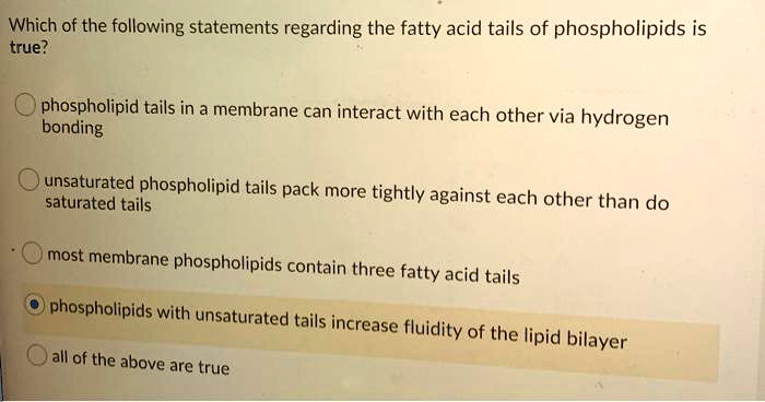 which of the following statements regarding the fatty acid tails of