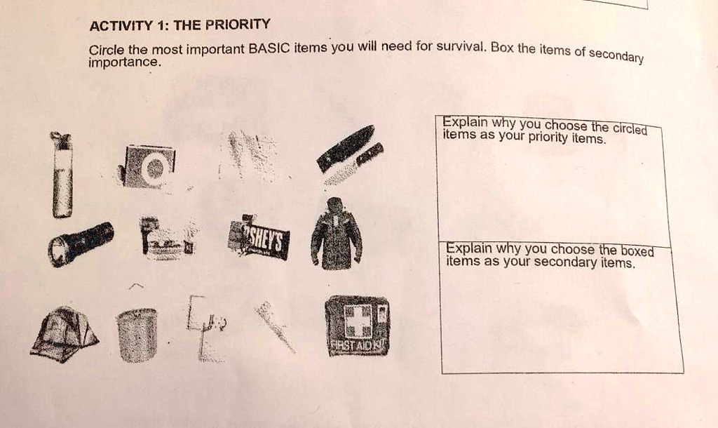 solved-activity-1-the-prioritycircle-the-most-important-basic-items