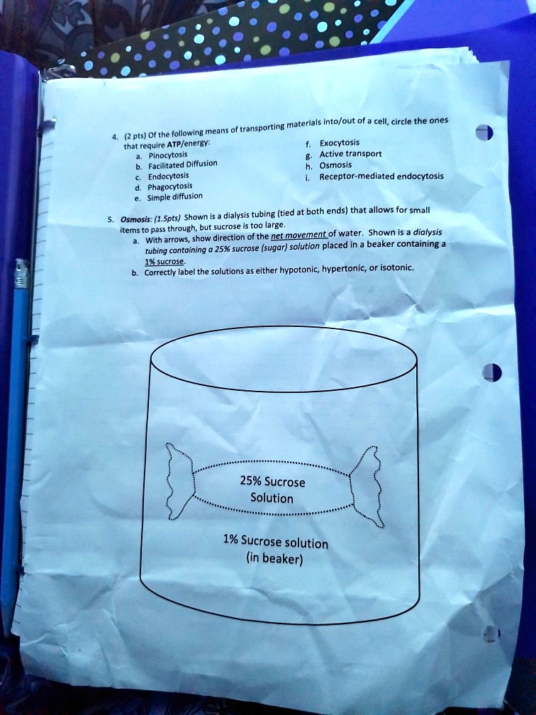 4. (2 pts) Of the following means of transporting materials into/out of a cell, circle the ones that require ATP/energy:
a. Pinocytosis
b. Facilitated Diffusion
c. Endocytosis
d. Phagocytosis
e. Simple diffusion
f. Exocytosis
g. Active transport
h. Osmosis
i. Receptor-mediated endocytosis
5. Osmosis: (1.5pts) Shown is a dialysis tubing (tied at both ends) that allows for small items to pass through, but sucrose is too large.
a. With arrows, show direction of the net movement of water. Shown is a dialysis tubing containing a 25% sucrose (sugar) solution placed in a beaker containing a 1% sucrose.
b. Correctly label the solutions as either hypotonic, hypertonic, or isotonic.
25% Sucrose Solution
1% Sucrose solution (in beaker)