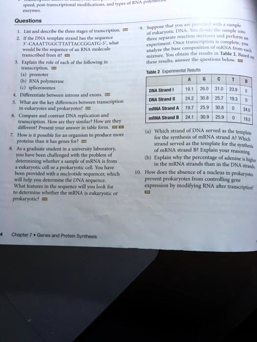 Questions
1. List and describe the three stages of transcription.
2. If the DNA template strand has the sequence 3'-CAAATTGGCTTATTACCGGATG-5', what would be the sequence of an RNA molecule transcribed from it?
3. Explain the role of each of the following in transcription.
(a) promoter
(b) RNA polymerase
(c) spliceosomes
4. Differentiate between introns and exons.
5. What are the key differences between transcription in eukaryotes and prokaryotes?
6. Compare and contrast DNA replication and transcription. How are they similar? How are they different? Present your answer in table form.
7. How is it possible for an organism to produce more proteins than it has genes for?
8. As a graduate student in a university laboratory, you have been challenged with the problem of determining whether a sample of mRNA is from a eukaryotic cell or a prokaryotic cell. You have been provided with a nucleotide sequencer, which will help you determine the DNA sequence. What features in the sequence will you look for to determine whether the mRNA is eukaryotic or prokaryotic?
9. Suppose that you are provided with a sample of eukaryotic DNA. You divide the sample into three separate reaction mixtures and perform an experiment. Once transcription is complete, you analyze the base composition of mRNA from each mixture. You obtain the results in Table 2. Based on these results, answer the questions below.
Table 2 Experimental Results
| | A | G | C | T | U |
| :— | :— | :— | :— | :— | :— |
| DNA Strand I | 19.1 | 26.0 | 31.0 | 23.9 | 0 |
| DNA Strand II | 24.2 | 30.8 | 25.7 | 19.3 | 0 |
| mRNA Strand A | 19.7 | 25.9 | 30.8 | 0 | 24.0 |
| mRNA Strand B | 24.1 | 30.9 | 25.9 | 0 | 19.0 |
(a) Which strand of DNA served as the template for the synthesis of mRNA strand A? Which strand served as the template for the synthesis of mRNA strand B? Explain your reasoning.
(b) Explain why the percentage of adenine is higher in the mRNA strands than in the DNA strands.
10. How does the absence of a nucleus in prokaryotes prevent prokaryotes from controlling gene expression by modifying RNA after transcription?