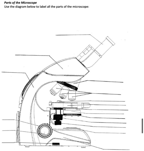 Parts of the Microscope Use the diagram below to labe… SolvedLib