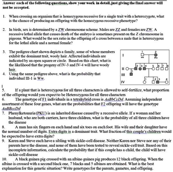 Answer each of the following questions, show your work in detail, just giving the final answer will not be accepted.

1. When crossing an organism that is homozygous recessive for a single trait with a heterozygote, what is the chance of producing an offspring with the homozygous recessive phenotype?

2. In birds, sex is determined by a ZW chromosome scheme. Males are ZZ and females are ZW. A recessive lethal allele that causes death of the embryo is sometimes present on the Z chromosome in pigeons. What would be the sex ratio in the offspring of a cross between a male that is heterozygous for the lethal allele and a normal female?

3. The pedigree chart shown depicts a family, some of whose members exhibit the dominant trait, wooly hair. Affected individuals are indicated by an open square or circle. Based on this chart, what is the likelihood that the progeny of IV-3 and IV-4 will have wooly hair.
4. Using the same pedigree above, what is the probability that individual III-1 is Ww.

5. If a plant that is heterozygous for all three characters is allowed to self-fertilize, what proportion of the offspring would you expect to be Heterozygous for all three characters
6. The genotype of F1 individuals in a tetrahybrid cross is AaBbCcDd. Assuming independent assortment of these four genes, what are the probabilities that F2 offspring will have the genotype AaBBccDd
7. Phenylketonuria (PKU) is an inherited disease caused by a recessive allele. If a woman and her husband, who are both carriers, have three children, what is the probability of all three children have the disease
8. A man has six fingers on each hand and six toes on each foot. His wife and their daughter have the normal number of digits. Extra digits is a dominant trait. What fraction of this couple's children would be expected to have extra digits?
9. Karen and Steve each have a sibling with sickle-cell disease. Neither Karen nor Steve nor any of their parents have the disease, and none of them have been tested to reveal sickle-cell trait. Based on this incomplete information, calculate the probability that if this couple has a child, the child will have sickle-cell disease
10. A black guinea pig crossed with an albino guinea pig produces 12 black offspring. When the albino is crossed with a second black one, 7 blacks and 5 albinos are obtained. What is the best explanation for this genetic situation? Write genotypes for the parents, gametes, and offspring.
