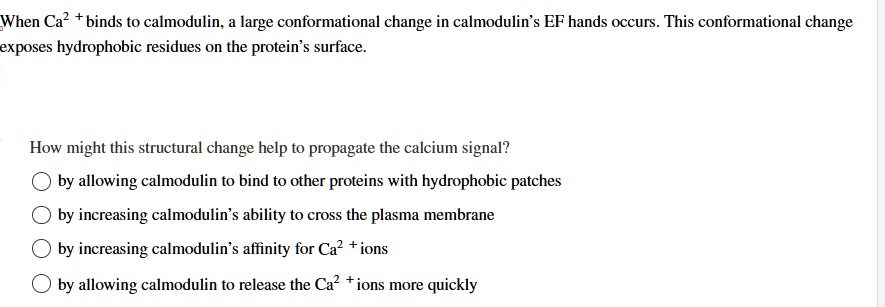 when ca2 binds to calmodulin a large conformational change in calmodulins ef hands occurs this conformational change exposes hydrophobic residues on the proteins surface how might this struc 57045