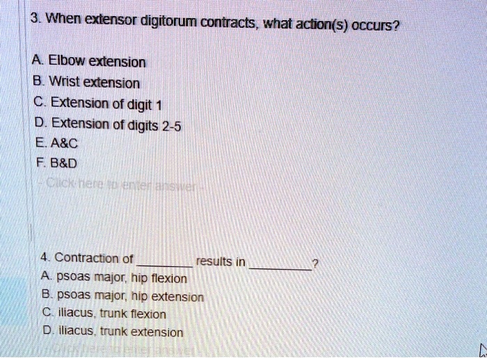 3. When extensor digitorum contracts, what action(s) occurs? A. Elbow ...