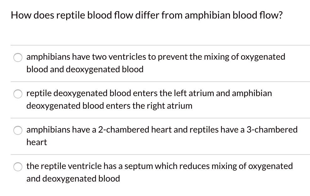 SOLVED: How does reptile blood flow differ from amphibian blood flow