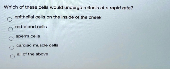 Which of these cells would undergo mitosis at a rapid rate?
epithelial cells on the inside of the cheek
red blood cells
sperm cells
cardiac muscle cells
all of the above
