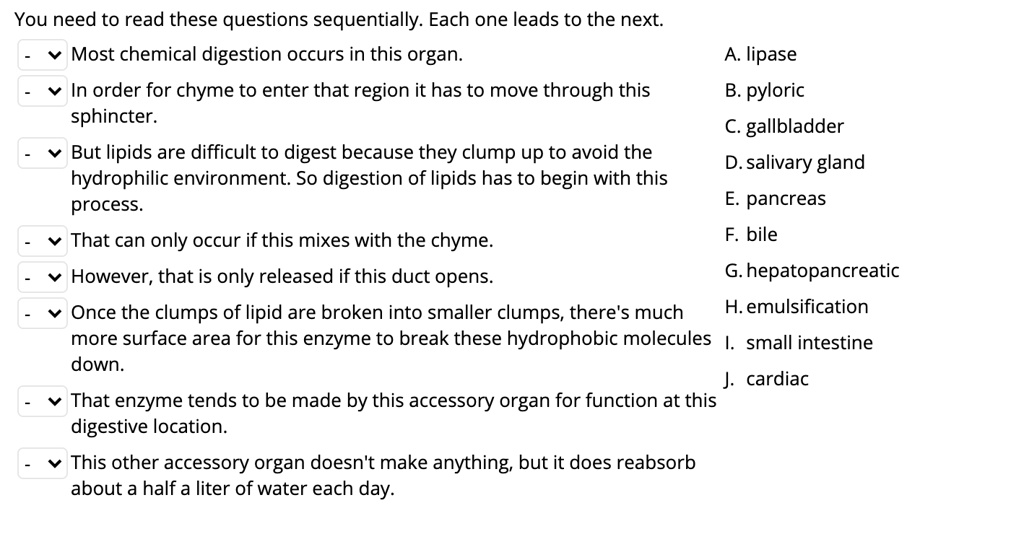You need to read these questions sequentially. Each one leads to the next.
- Most chemical digestion occurs in this organ. A. lipase
- In order for chyme to enter that region it has to move through this sphincter. B. pyloric
- But lipids are difficult to digest because they clump up to avoid the hydrophilic environment. So digestion of lipids has to begin with this process. C. gallbladder
D. salivary gland
- That can only occur if this mixes with the chyme. E. pancreas
- However, that is only released if this duct opens. F. bile
- Once the clumps of lipid are broken into smaller clumps, there's much more surface area for this enzyme to break these hydrophobic molecules down. G. hepatopancreatic
H. emulsification
- That enzyme tends to be made by this accessory organ for function at this digestive location. I. small intestine
- This other accessory organ doesn't make anything, but it does reabsorb about a half a liter of water each day. J. cardiac