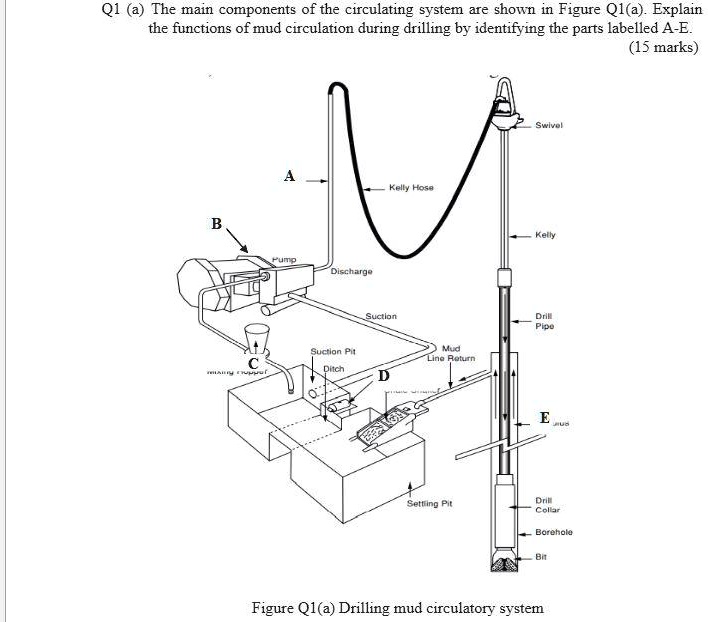 SOLVED The main components of the circulating system are shown in