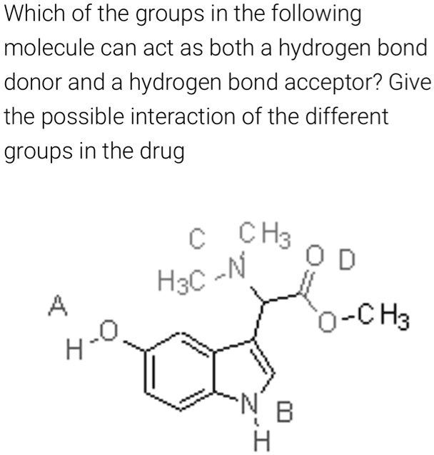 SOLVED:Which of the groups in the following molecule can act as both a ...