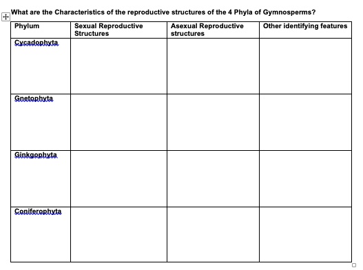 What are the Characteristics of the reproductive structures of the 4 Phyla of Gymnosperms?
Phylum
Sexual Reproductive Structures
Asexual Reproductive structures
Other identifying features
Cycadophyta
Gnetophyta
Ginkgophyta
Coniferophyta
