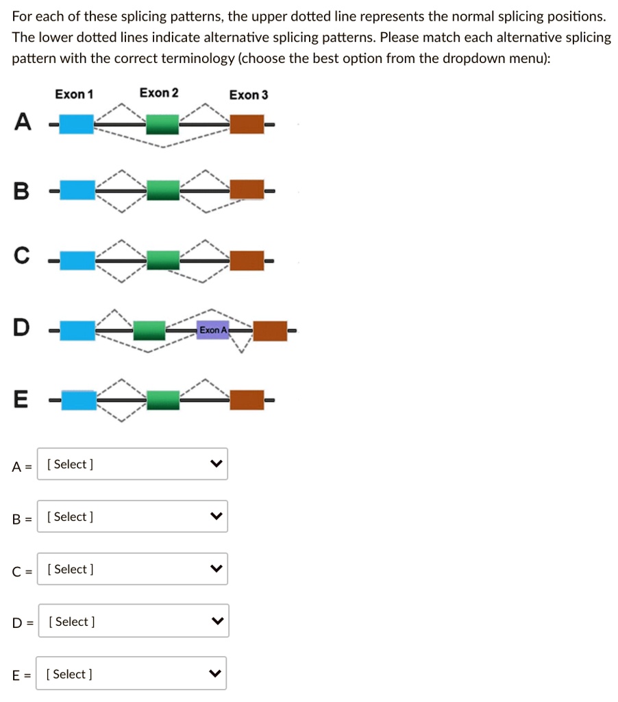 SOLVED:For each of these splicing patterns, the upper dotted line ...