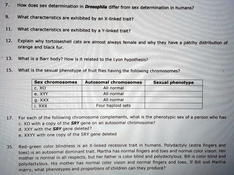 7. How does sex determination in Drosophila differ from sex determination in humans?
9. What characteristics are exhibited by an X-linked trait?
11. What characteristics are exhibited by a Y-linked trait?
12. Explain why tortoiseshell cats are almost always female and why they have a patchy distribution of orange and black fur.
13. What is a Barr body? How is it related to the Lyon hypothesis?
15. What is the sexual phenotype of fruit flies having the following chromosomes?
Sex chromosomes | Autosomal chromosomes | Sexual phenotype
c. XO | All normal |
e. XYY | All normal |
g. XXX | All normal |
i. XXX | Four haploid sets |
17. For each of the following chromosome complements, what is the phenotypic sex of a person who has
c. XO with a copy of the SRY gene on an autosomal chromosome?
d. XXY with the SRY gene deleted?
e. XXYY with one copy of the SRY gene deleted
35. Red-green color blindness is an X-linked recessive trait in humans. Polydactyly (extra fingers and toes) is an autosomal dominant trait. Martha has normal fingers and toes and normal color vision. Her mother is normal in all respects, but her father is color blind and polydactylous. Bill is color blind and polydactylous. His mother has normal color vision and normal fingers and toes. If Bill and Martha marry, what phenotypes and proportions of children can they produce?