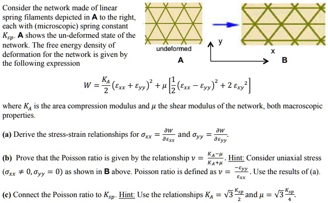 SOLVED: Consider the network made of linear spring filaments depicted ...