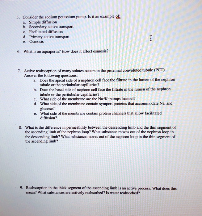 SOLVED Consider the sodiumpotassium pump. Is it an example of Simple