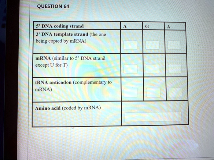SOLVED QUESTION 64 5' DNA coding strand 3' DNA template strand (the