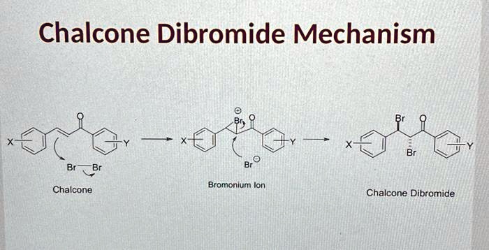 Chalcone Dibromide Mechanism
X
BrBr
Chalcone
Y
X-
?
Br
?
Br
Bromonium Ion
Y
BrO
X
Y
Br
Chalcone Dibromide