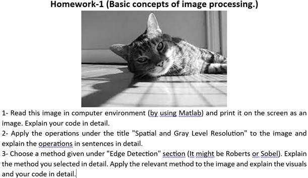 Homework-1 (Basic concepts of image processing.)
1- Read this image in computer environment (by using Matlab) and print it on the screen as an image. Explain your code in detail.
2- Apply the operations under the title S̈patial and Gray Level Resolutionẗo the image and explain the operations in sentences in detail.
3- Choose a method given under Ëdge Detections̈ection (It might be Roberts or Sobel). Explain the method you selected in detail. Apply the relevant method to the image and explain the visuals and your code in detail.