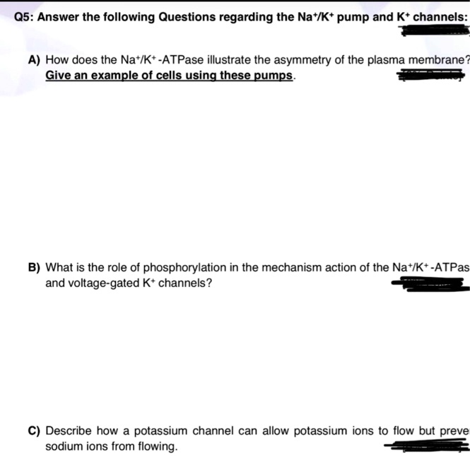 SOLVED Q5 Answer the following questions regarding the Na+/K+pump