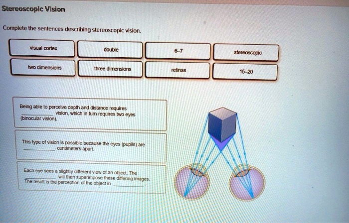 Stereoscopic Vision
Complete the sentences describing stereoscopic vision.
visual cortex
double
6-7
stereoscopic
two dimensions
three dimensions
retinas
15-20
Being able to perceive depth and distance requires
vision, which in turn requires two eyes
(binocular vision).
This type of vision is possible because the eyes (pupils) are
centimeters apart.
Each eye sees a slightly different view of an object. The
will then superimpose these differing images.
The result is the perception of the object in