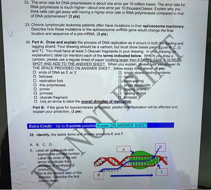 SOLVED: The error rate for DNA polymerases about one error per 10 ...