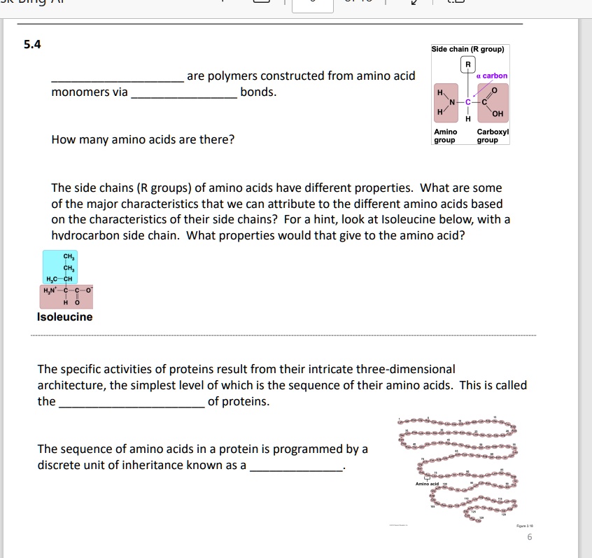SOLVED 5.4 Side chain (R group) are polymers constructed from amino