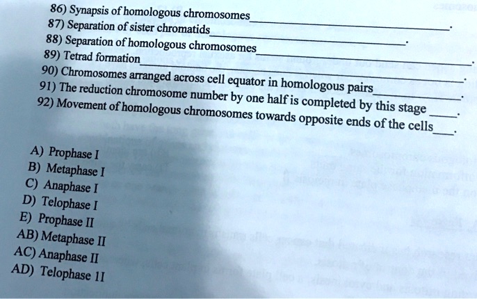 sister chromatids separate from each other during _____