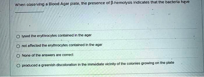 When observing a Blood Agar plate, the presence of ?-hemolysis indicates that the bacteria have

lysed the erythrocytes contained in the agar
not affected the erythrocytes contained in the agar
None of the answers are correct
produced a greenish discoloration in the immediate vicinity of the colonies growing on the plate
