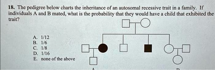 18. The pedigree below charts the inheritance of an autosomal recessive trait in a family. If individuals A and B mated, what is the probability that they would have a child that exhibited the trait?
A. 1/12
B. 1/6
C. 1/8
D. 1/16
E. none of the above