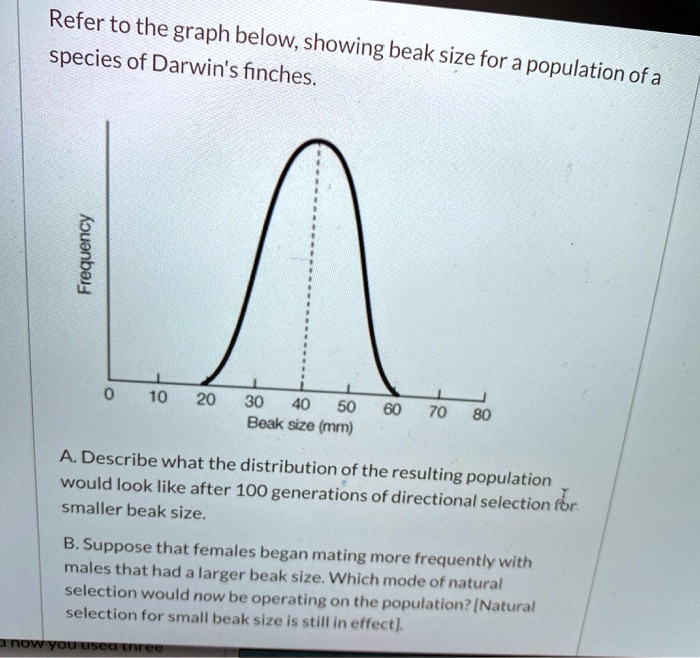 Refer to the graph below, showing beak sizes of Darwin's finches for a ...