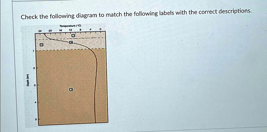 SOLVED: Check the following diagram to match the following labels with ...