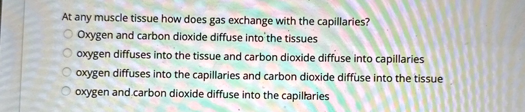at any muscle tissue how does gas exchange with the capillaries oxygen ...
