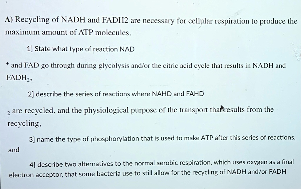 Solved A Recycling Of Nadh And Fadh2 Are Necessary For Cellular Respiration To Produce The