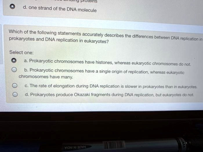 Ty Piotemns A One Strand Of The Dna Molecule Which Of The Following Statements Accurately