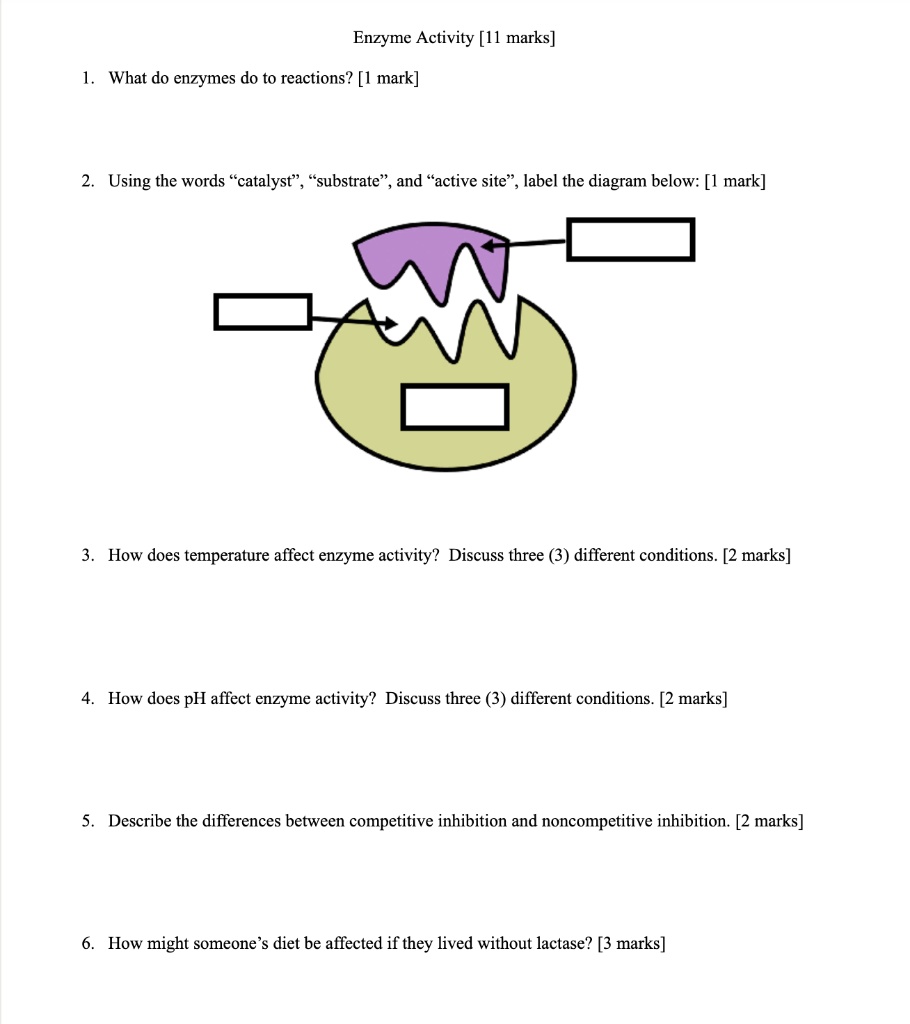 Enzyme Activity [11 marks]
1. What do enzymes do to reactions? [1 mark]
2. Using the words c̈atalyst,̈ s̈ubstrate,̈ and äctive site,̈ label the diagram below: [1 mark]
3. How does temperature affect enzyme activity? Discuss three (3) different conditions. [2 marks]
4. How does pH affect enzyme activity? Discuss three (3) different conditions. [2 marks]
5. Describe the differences between competitive inhibition and noncompetitive inhibition. [2 marks]
6. How might someone's diet be affected if they lived without lactase? [3 marks]