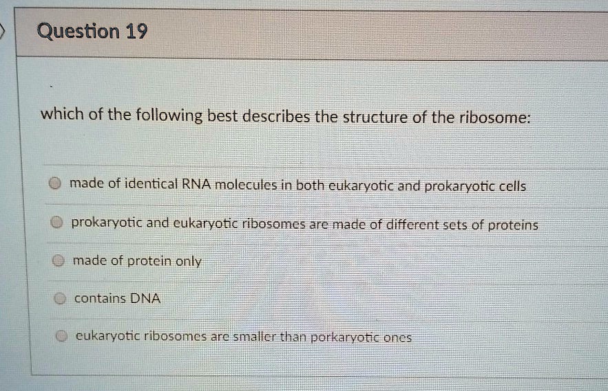 Which of the following best describes the structure of the ribosome