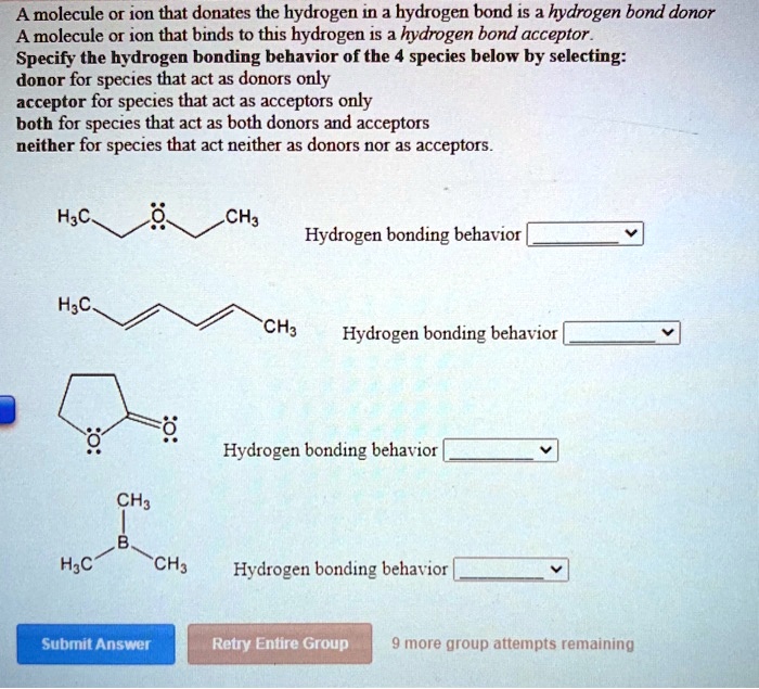 solved-a-molecule-or-ion-that-donates-the-hydrogen-in-a-hydrogen-bond