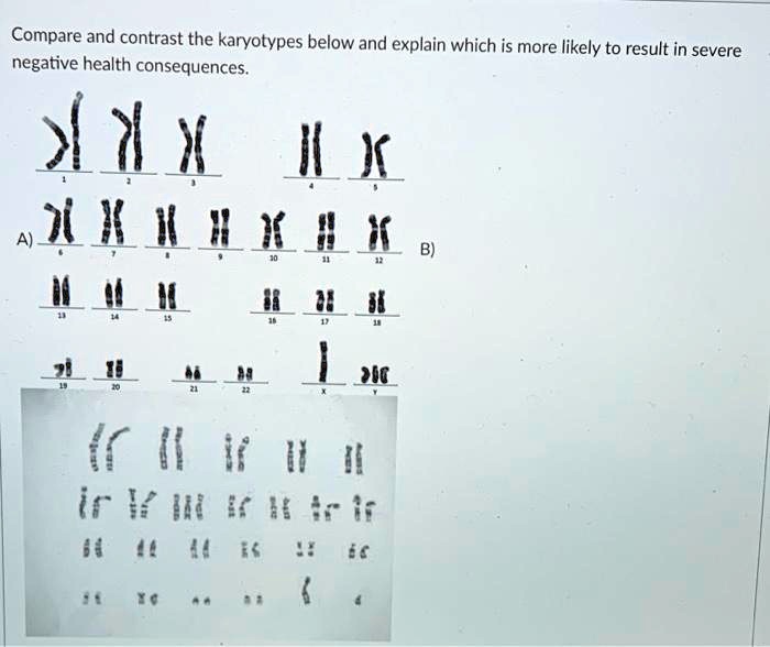 Solved: Compare And Contrast The Karyotypes Below And Explain Which Is 