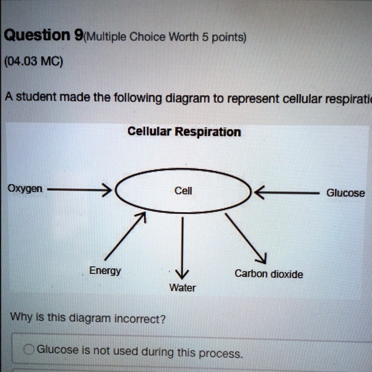 Solved a student made the following diagram to represent cellular