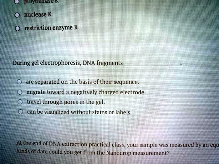SOLVED OnucleaseK Orestriction enzyme K During gel electrophoresis,DNA