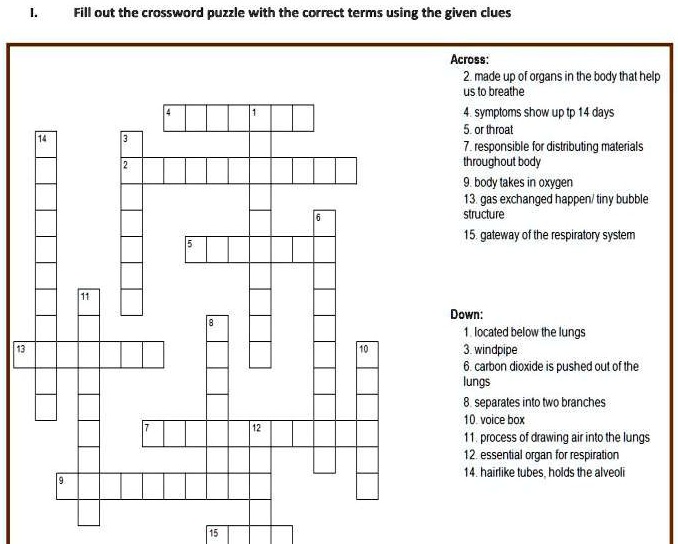 SOLVED: Fill out the crossword puzzle with the correct terms using the