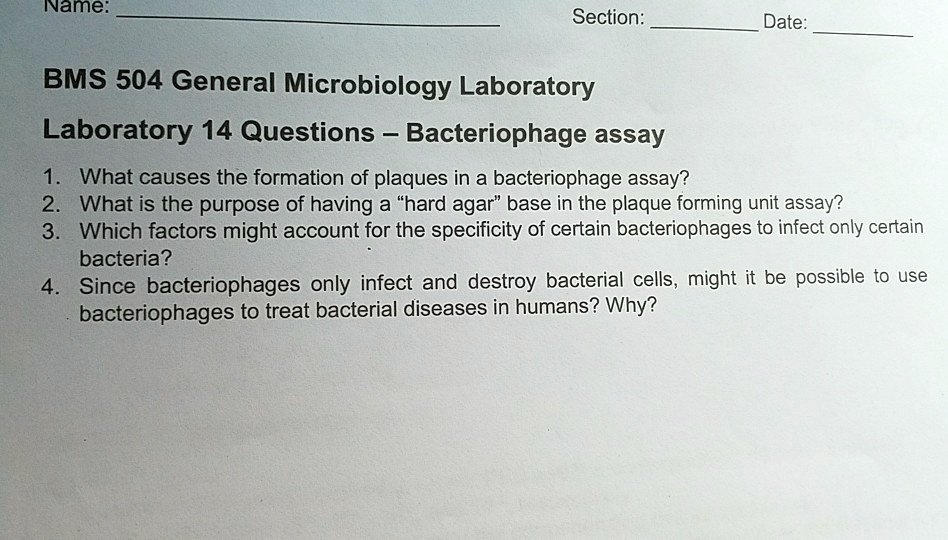SOLVED Name Section Date BMS 504 General Microbiology Laboratory