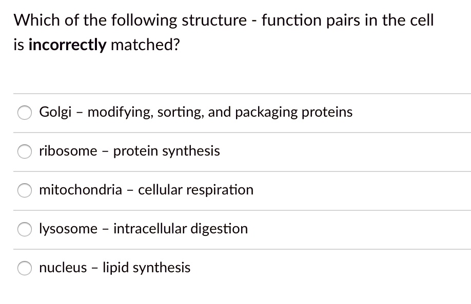 which of the following structure function pairs in the cell is