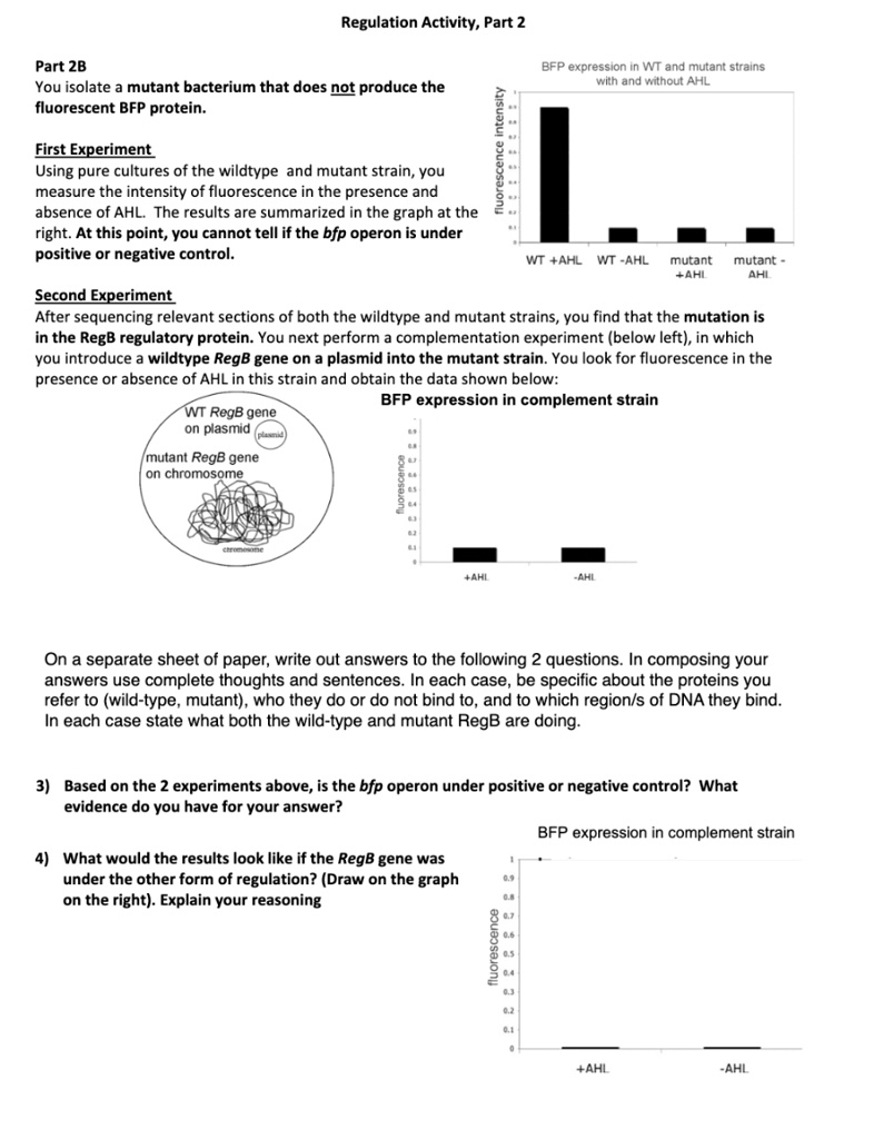 SOLVED: Part 2B: Regulation Activity You isolate a mutant bacterium ...