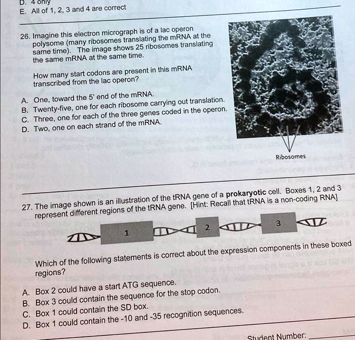 4ony eall of 123and 4are correct 26imagine this electron...