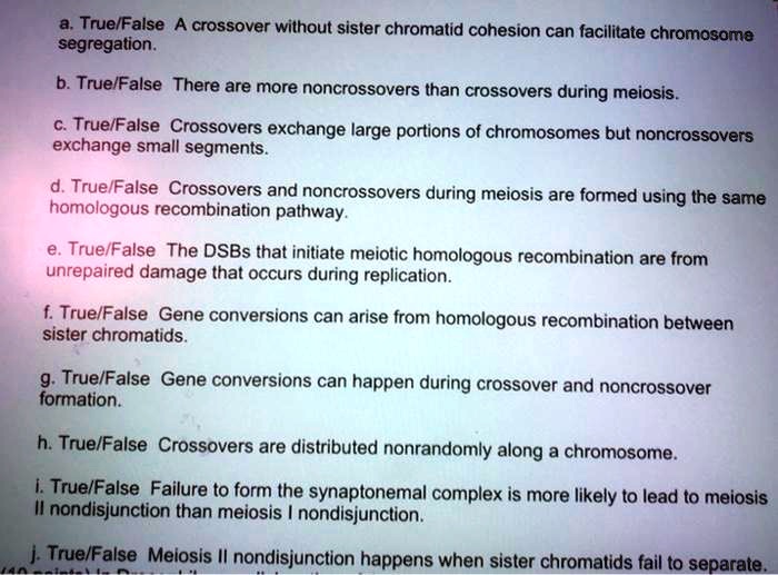 truelfalse a crossover without sister chromatid cohesion can facilitate ...