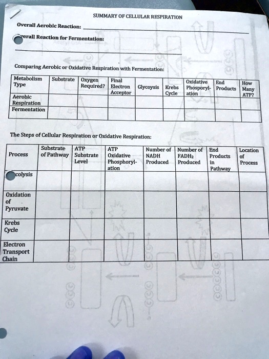 SOLVED: SUMMARY OF CELLULAR RESPIRATION Overall Aerobic Reaction ...