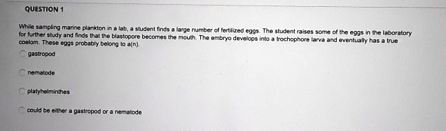 While sampling marine plankton in a lab, a student finds a large number of fertilized eggs. The student raises some of the eggs in the laboratory for further study and finds that the blastopore becomes the mouth. The embryo develops into a trochophore larva and eventually has a true coelom. These eggs probably belong to a(n).
gastropod
nematode
platyhelminthes
could be either a gastropod or a nematode