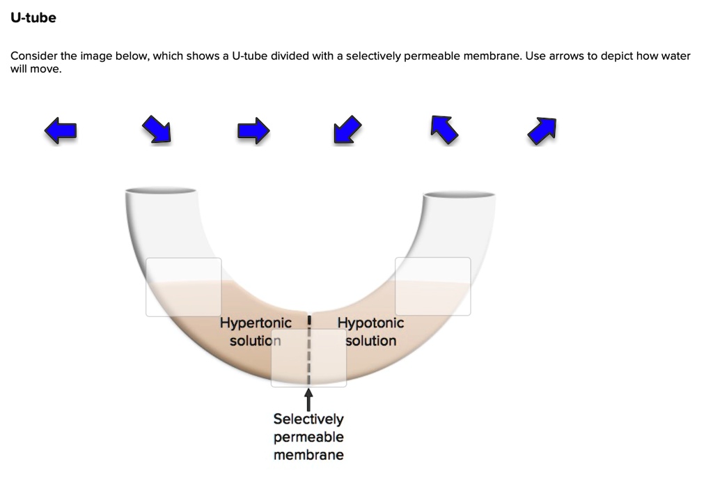 u-tube-consider-the-image-below-which-shows-a-u-tube-divided-with-a