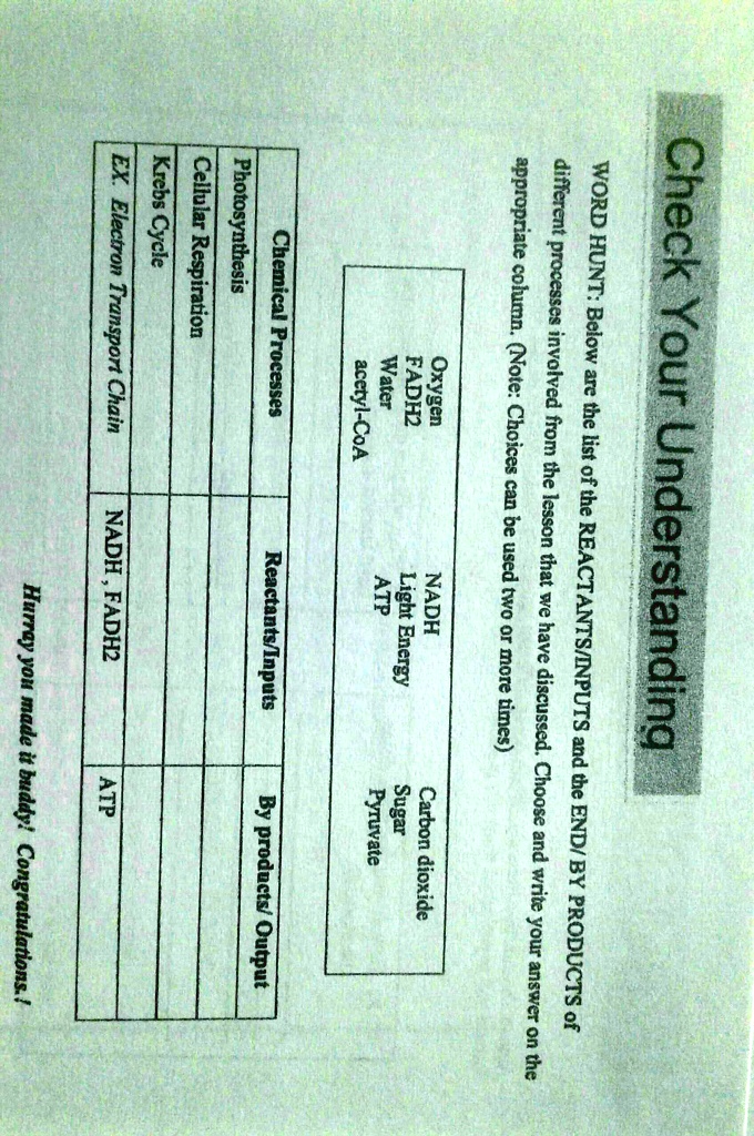 Check Your Understanding
WORD HUNT: Below are the list of the REACTANTS/INPUTS and the END/BY PRODUCTS of
different processes involved from the lesson that we have discussed. Choose and write your answer on the
appropriate column. (Note: Choices can be used two or more times)
Oxygen
FADH2
Water
NADH
Light Energy
ATP
Carbon dioxide
Sugar
Pyruvate
acetyl-CoA
Chemical Processes
Reactants/Inputs
By products/ Output
Photosynthesis
Cellular Respiration
Krebs Cycle
EX. Electron Transport Chain
NADH, FADH2
ATP
Hurray you made it buddy! Congratulations.!